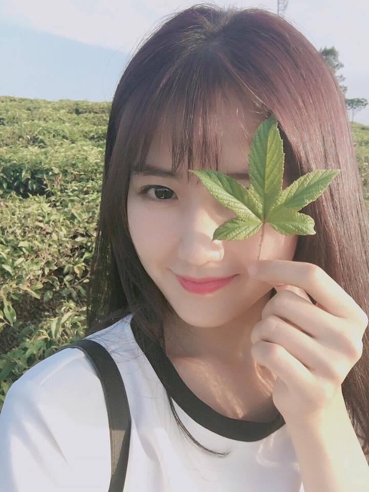 欧美人妖在线